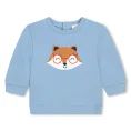 image de pull bébé 