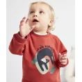 image de pull bébé