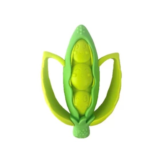 Haricot de dentition