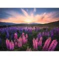 image de puzzle bébé 