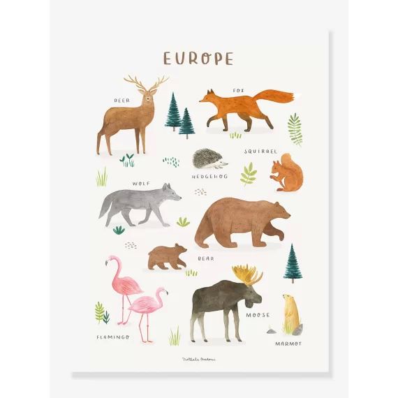 Affiche Animaux d&rsquo;Europe Living Earth LILIPINSO marron