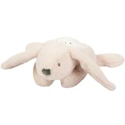 Veilleuse Projecteur Lapidou Koala Beige