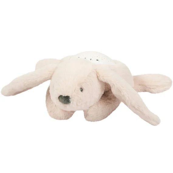 Veilleuse Projecteur Lapidou Koala Beige