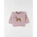 image de pull bébé 
