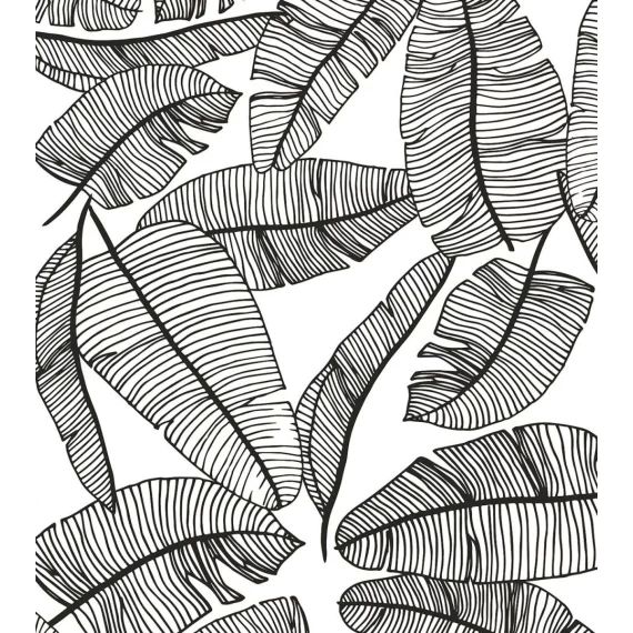 Papier peint Serengeti (50cm x 10m)
