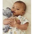 image de doudou bébé