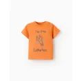 image de t-shirt bébé