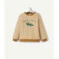 image de pull bébé 