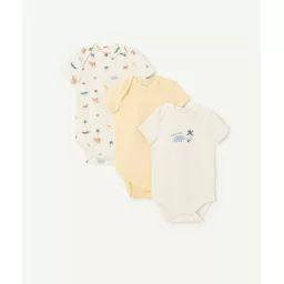 Lot de 3 bodies manches courtes bébé en coton bio thème rhinocéros