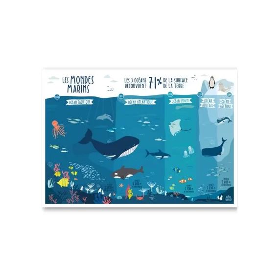 Affiche Les mondes marins (A3)