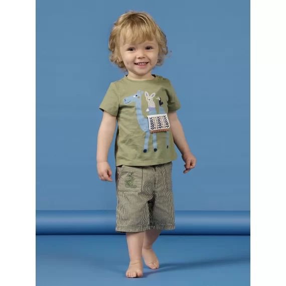 Bermuda Vert Et Blanc Bébé Garçon
