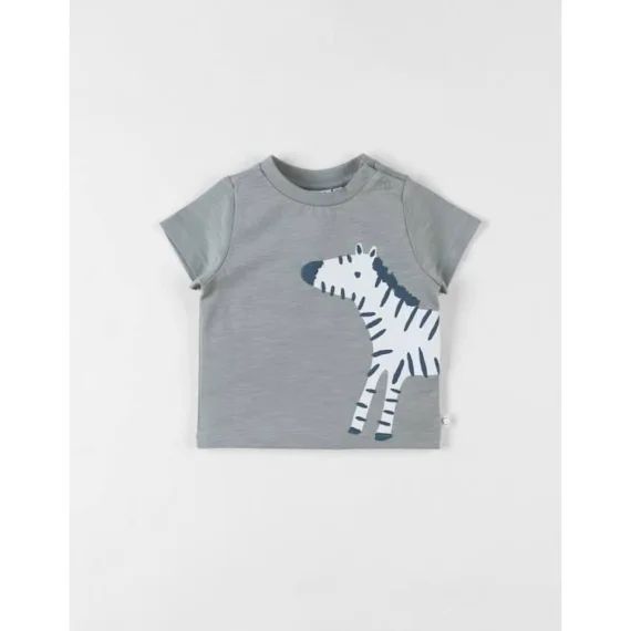 T-shirt Zèbre À Courtes Manches Eucalyptus Vert