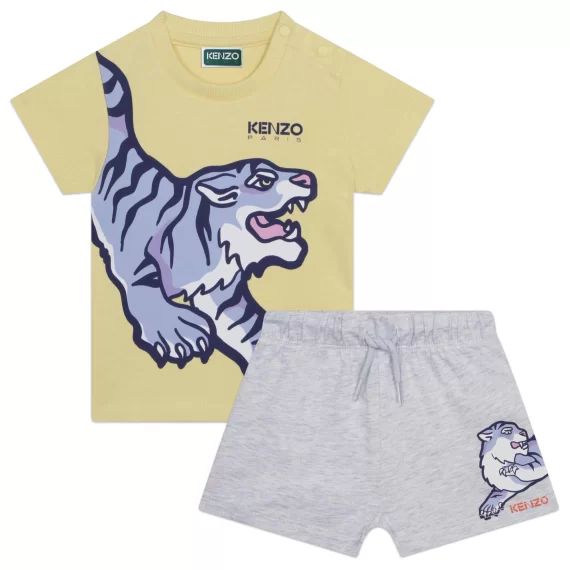 Ensemble short et T-shirt Garçon Gris