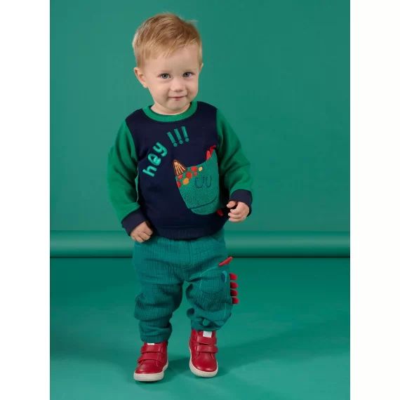 Sweat Bleu À Animation Dinosaure Multi-techniques – Bleu marine