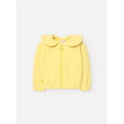 Gilet Jaune