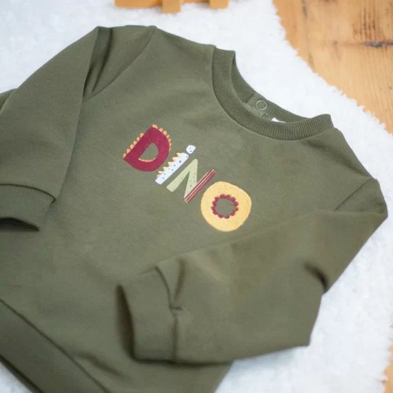 Sweat-shirt imprimé dino Garçon Vert