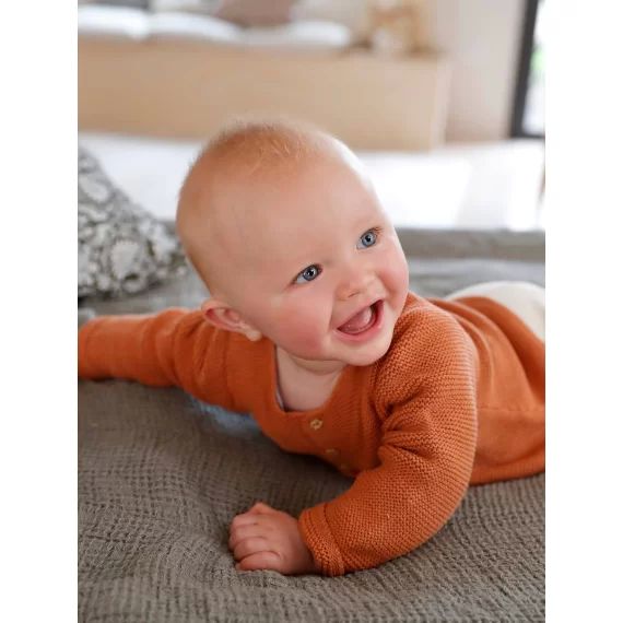 Cardigan en coton bébé fine jauge BASICS noisette
