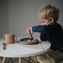 Assiette à compartiments en silicone avec ventouse Dried thyme