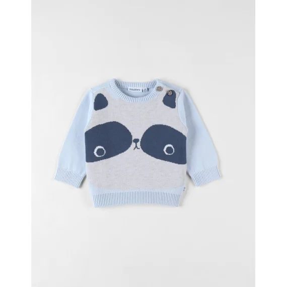 Pull Raton Laveur En Coton Bleu