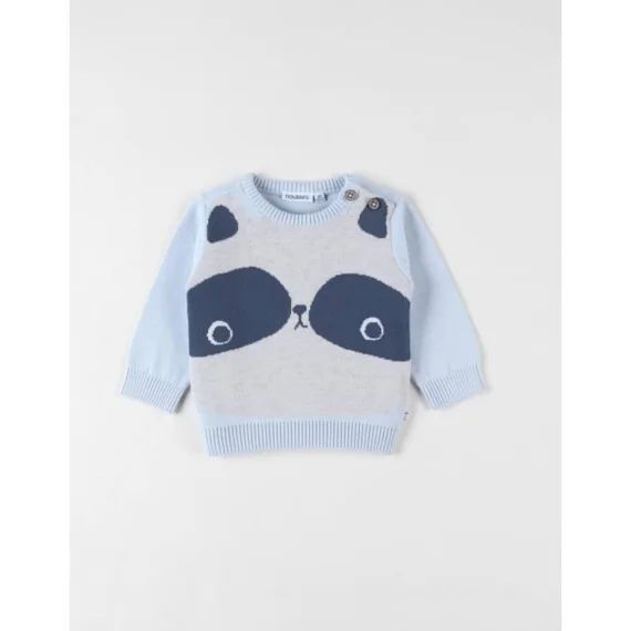 Pull Raton Laveur En Coton, Bleu