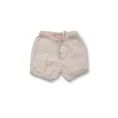 image de short bébé