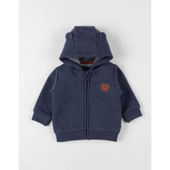 Veste Sweat À Capuche Gris