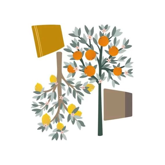 Stickers muraux Oranger et citronnier (77 x 87 cm)
