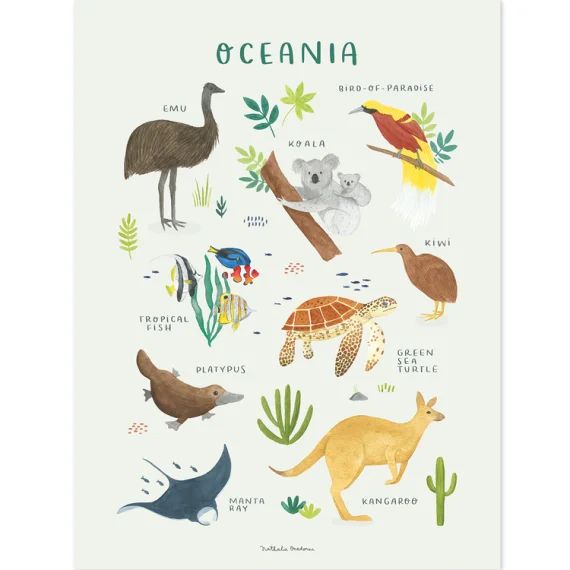 Affiche Animaux d&rsquo;Océanie (30 x 40 cm)