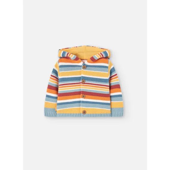 Gilet En Tricot Avec Capuche Et Fermeture Par Boutons Multicolore
