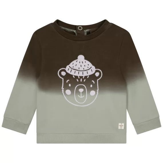 Sweat molletonné en coton Garçon Vert
