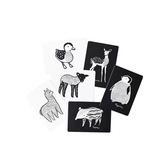 Cartes imagier pour bébé les bébés animaux