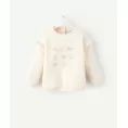 image de pull bébé