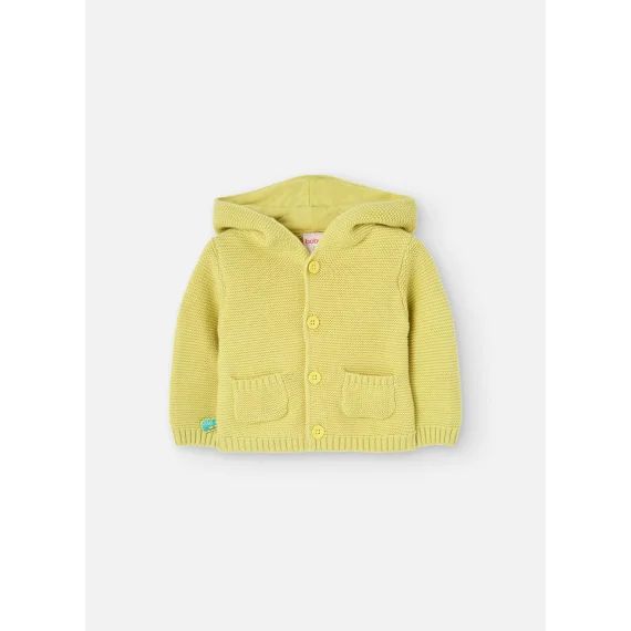Gilet Vert