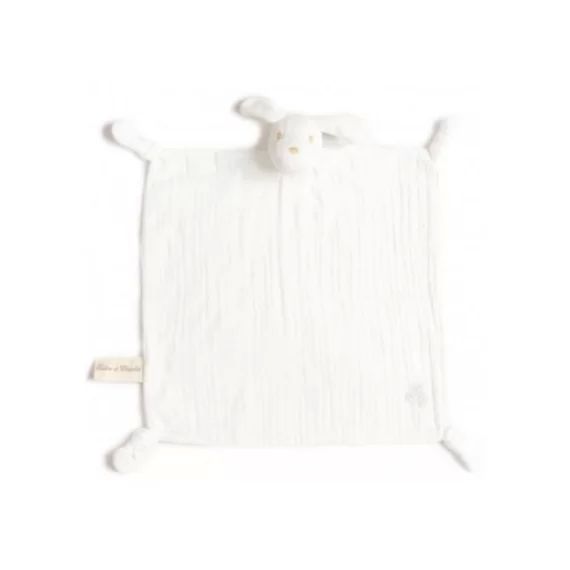 Doudou plat en coton bio chien (30 x 30 cm)