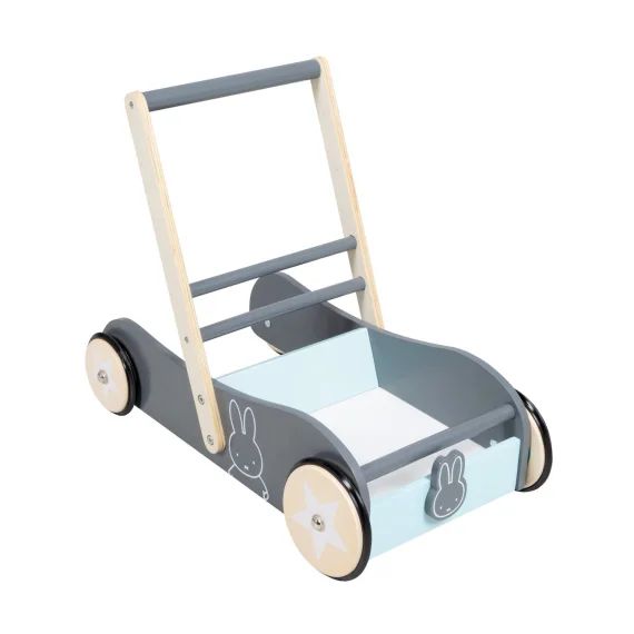 Chariot De Marche À Vitesse Ajustable Gris Taupe – Vert Menthe / Mif