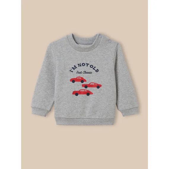 Sweat Imprimé En Coton Biologique Gris Chine