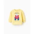 image de pull bébé