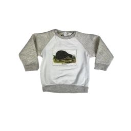 Sweat Garçon 2 ans