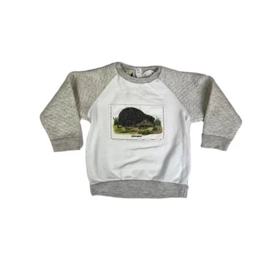 Sweat Garçon 2 ans