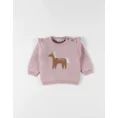 image de pull bébé 
