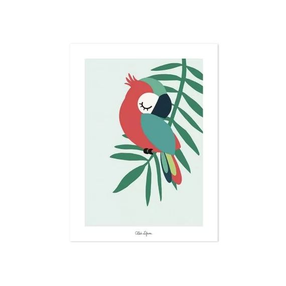 Affiche perroquet vert (30 x 40 cm)