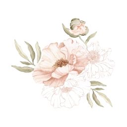 Stickers muraux Coquelicot