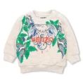 image de pull bébé 