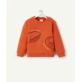 image de pull bébé