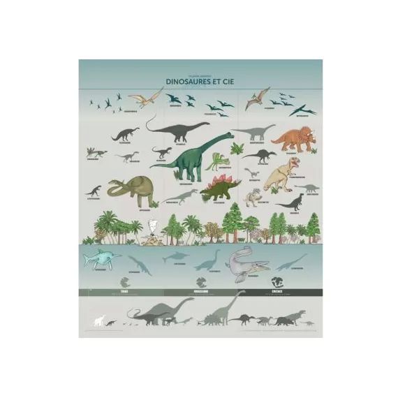 Planche Dinosaures et Cie illustrée (60 x 80 cm)