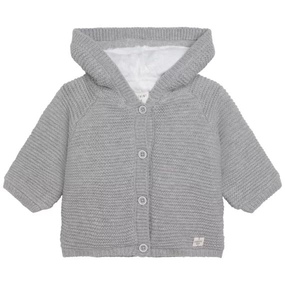 Veste à capuche Garçon Gris