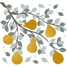 Sticker mural Poires sur branche (54 x 50 cm)
