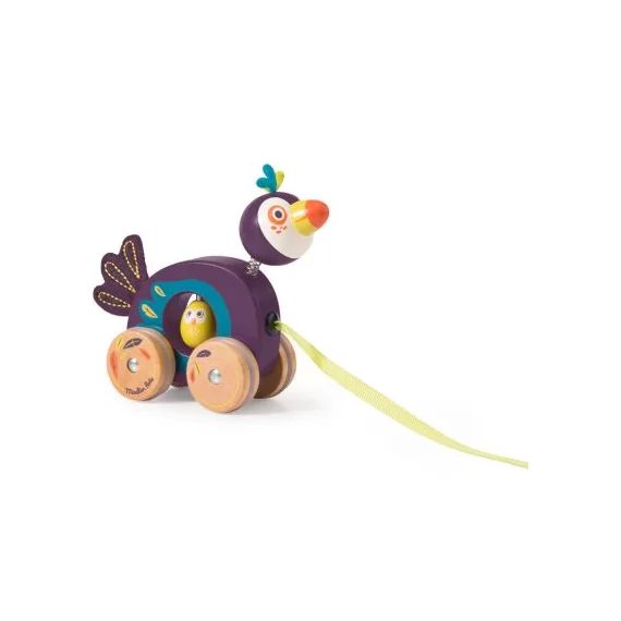 Jouet à tirer Pakou le toucan Dans la Jungle