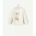 image de pull bébé