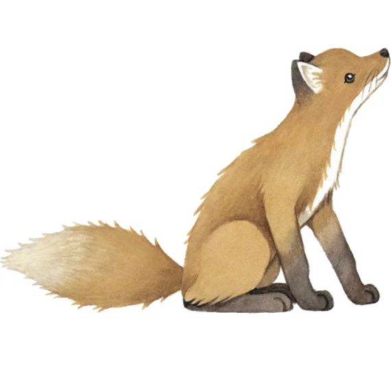 Sticker renard Forest